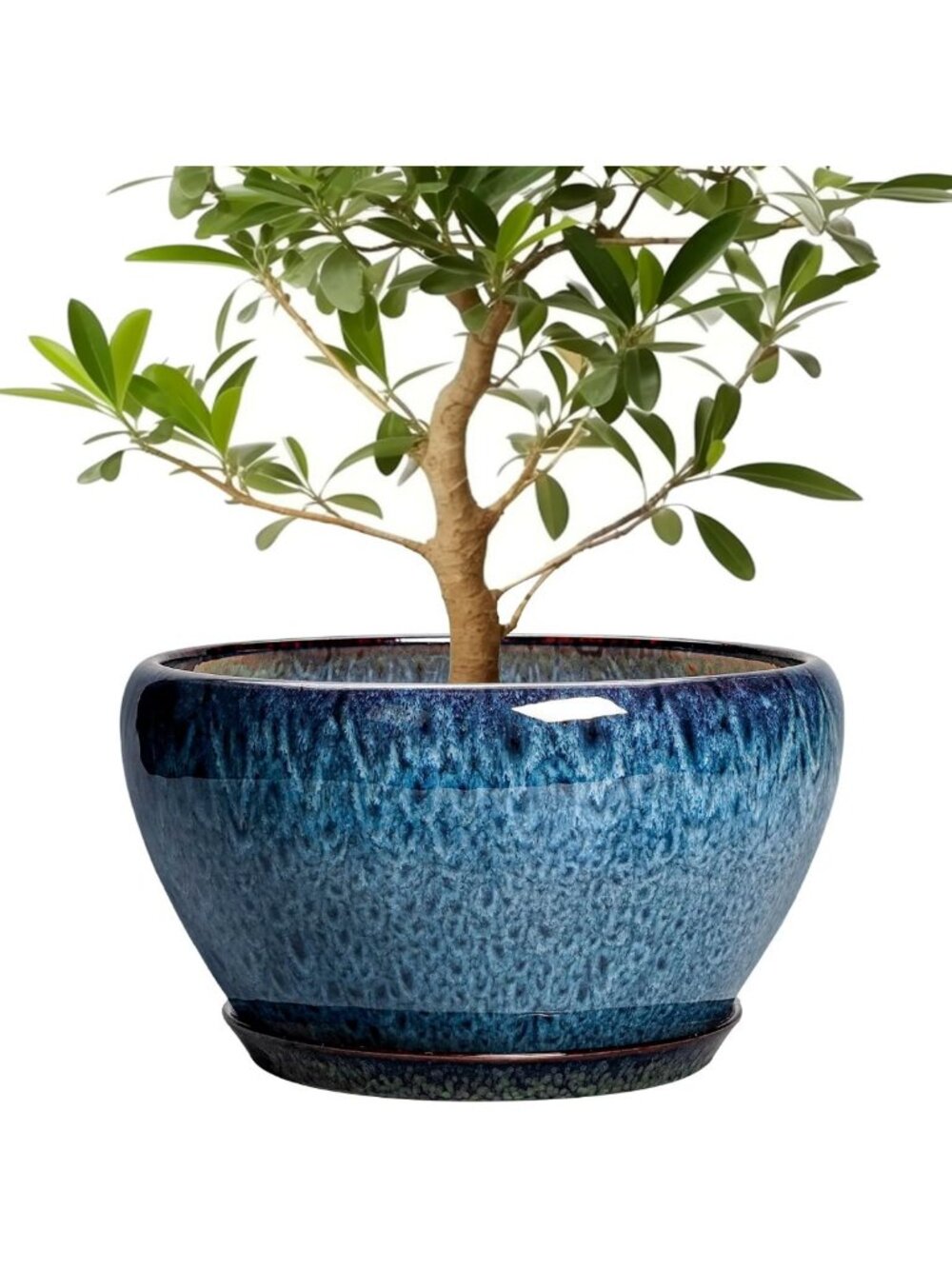 Large 13-Inch Ceramic Plant Pot with Drainage & Saucer - Indoor/Outdoor Decor